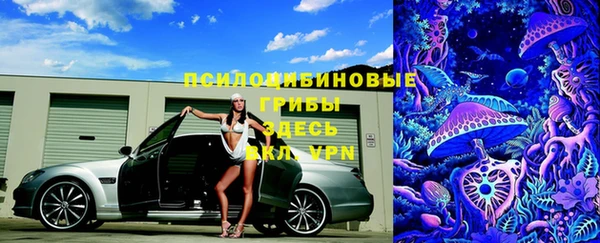 винт Армянск