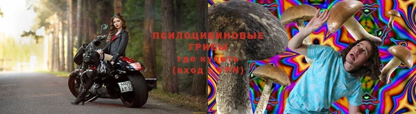 винт Армянск