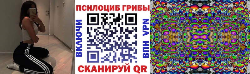 цены наркотик  Сурск  OMG   Псилоцибиновые грибы ЛСД 